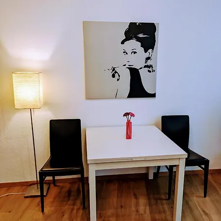 Apartment Im Zentrum Von Graz